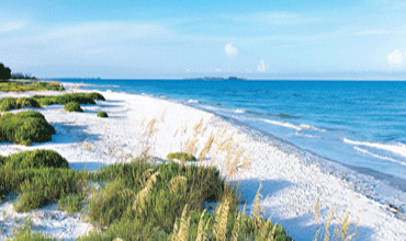 Broadwater FL